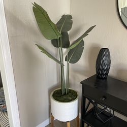 Fake House Plant