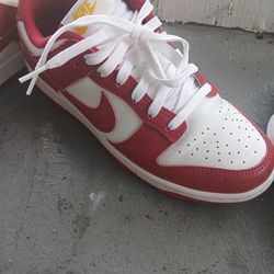 Nike dunks only worn twice still looks brand new no box..