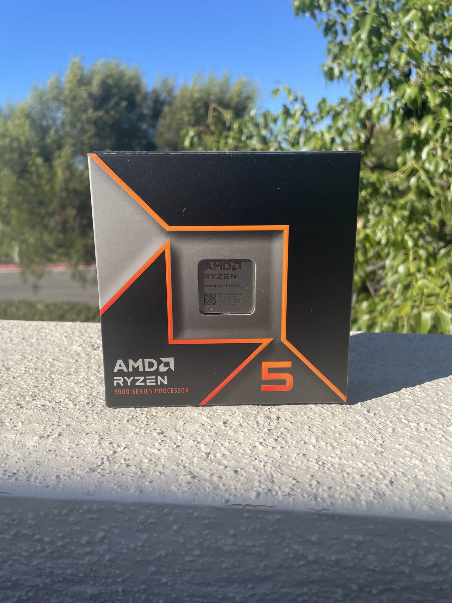 AMD RYZEN 5 9600x CPU