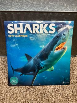 2018 Sharks Wall Calendar – New Sealed – Great for Shark Photography & Crafts