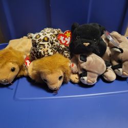 Beanie Baby Big Cats