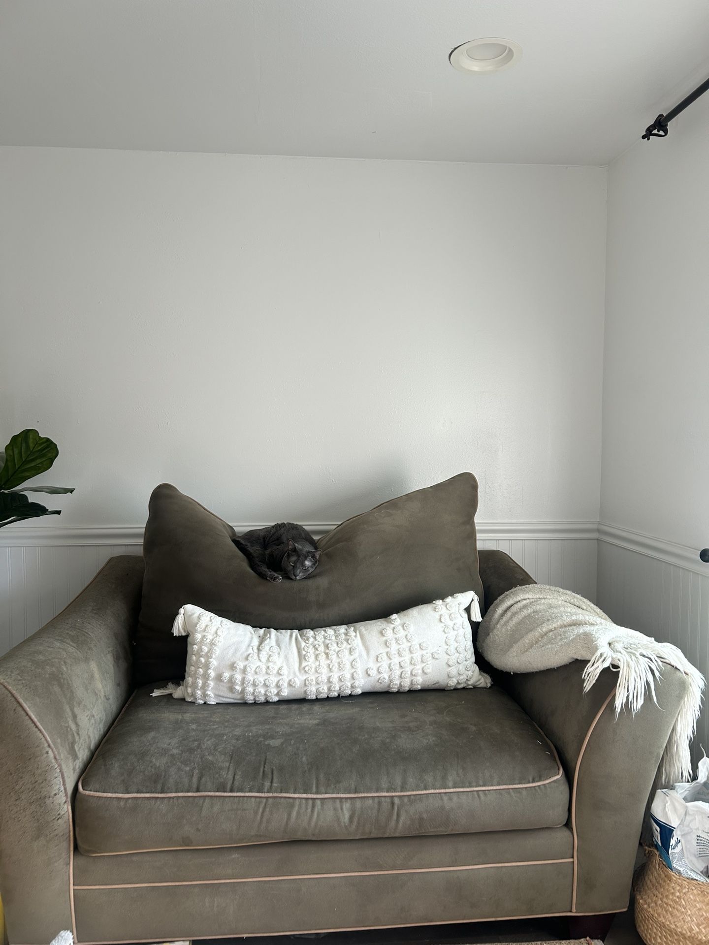 💺 FREE Loveseat