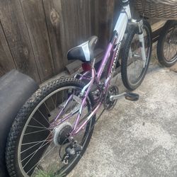 24” Girls Mountain Bike.  priced To Sell. 