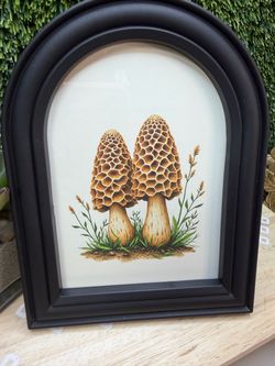 Mushroom picture brand new