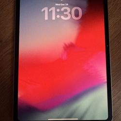 M4 2TB Cellular iPad Pro 11”