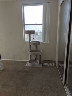 Cat tree