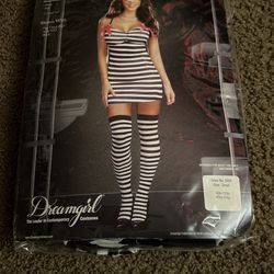 Adult Anita Alibi Costume 