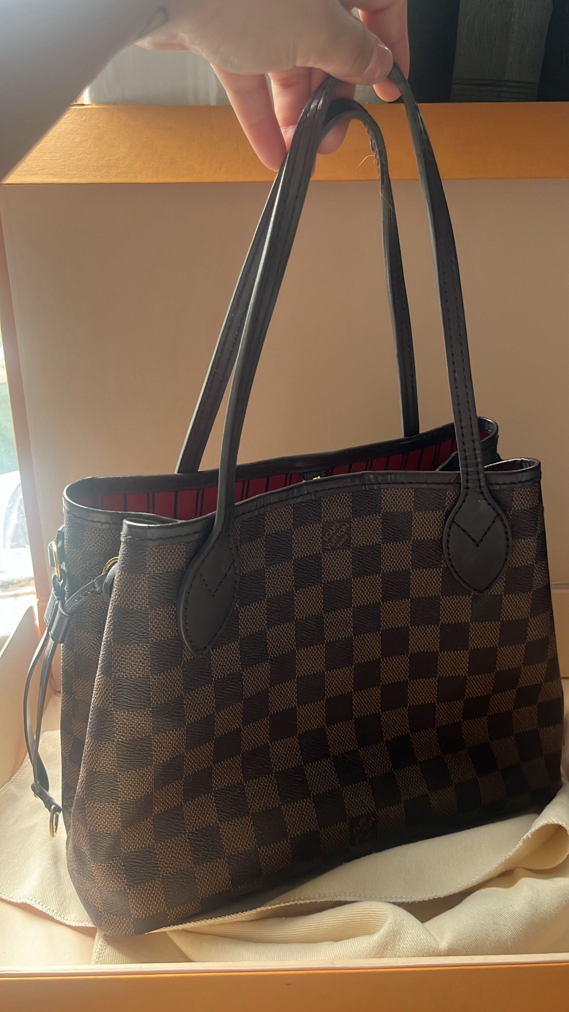 Louis Vuitton Neverfull Pm