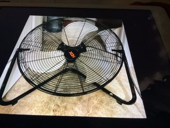 Fans