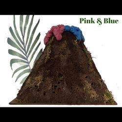 Gender Reveal Volcano 