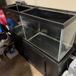 50 gal Fish Tank With Stand