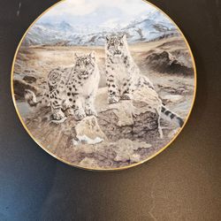 Plato de colección  decorativo