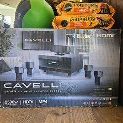 Home theater system