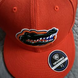 Florida gators Cap