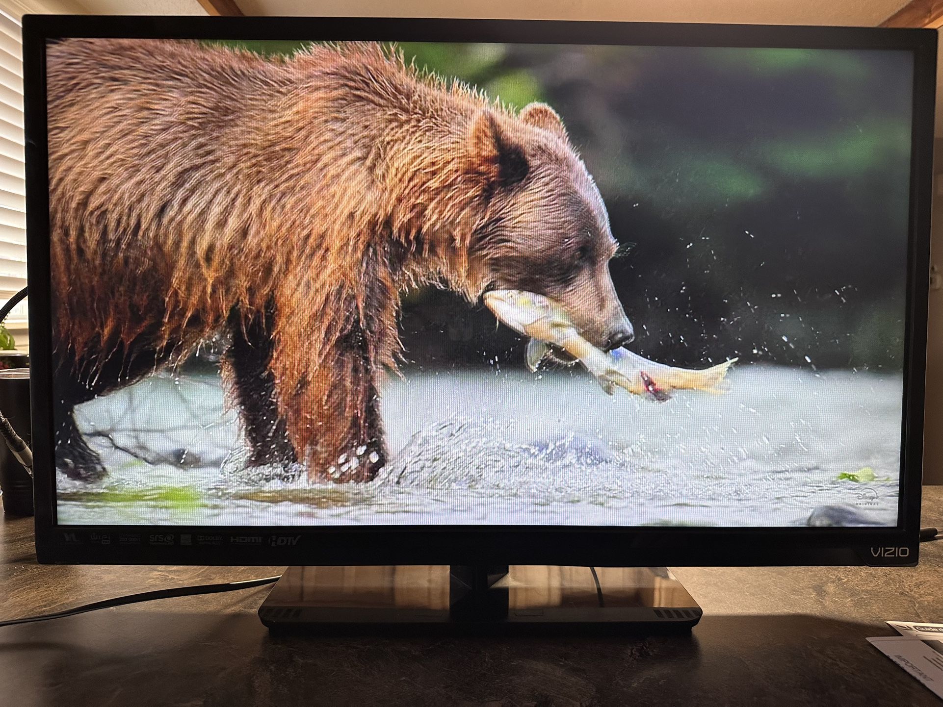 Visio 31” TV Model E320i