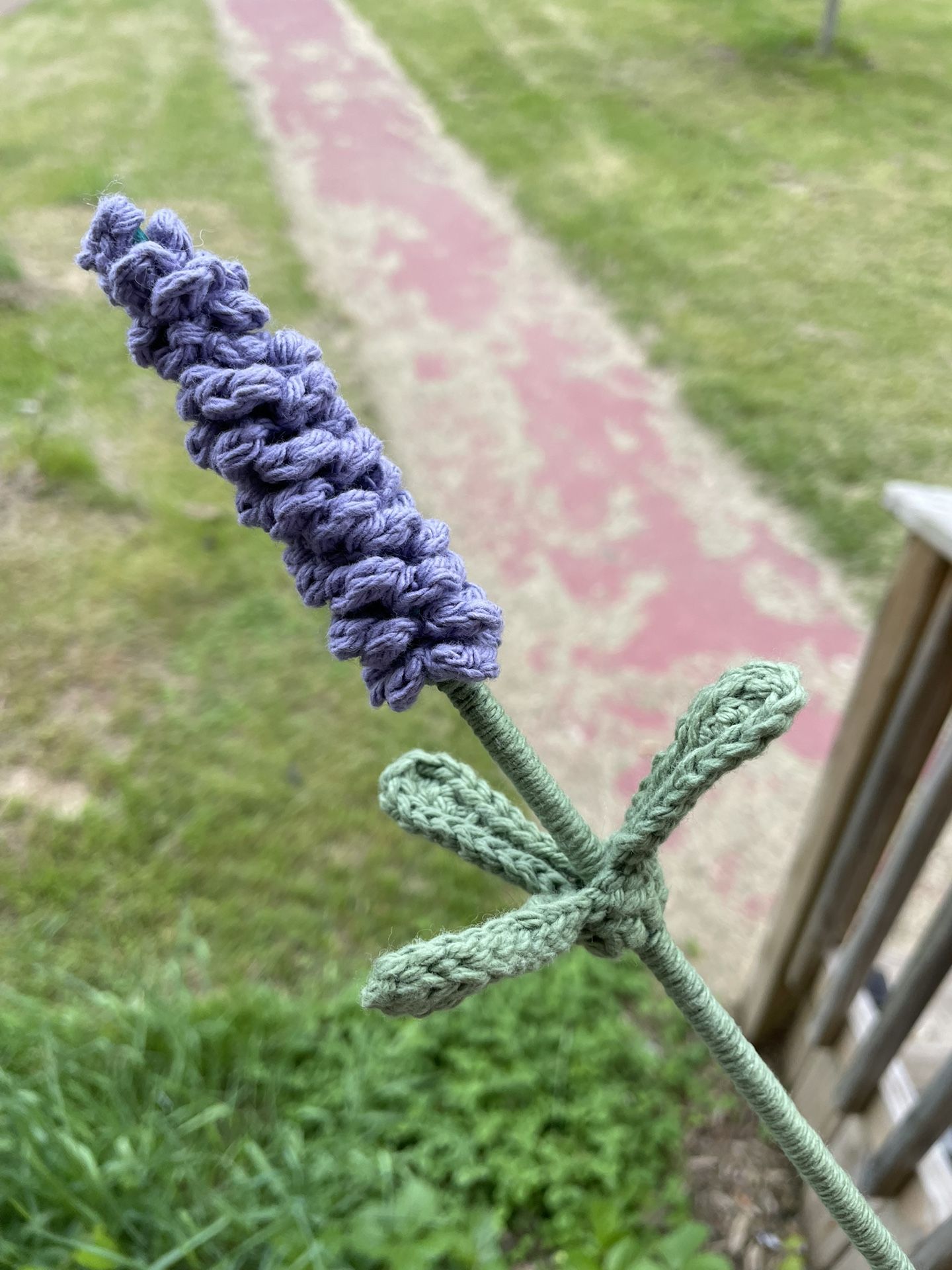 Single Crocheted Lavender 