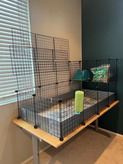 C+C guinea pig cage