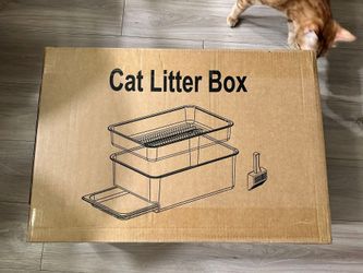 Litter Box