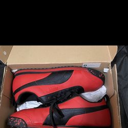 Brand New Pumas In Box