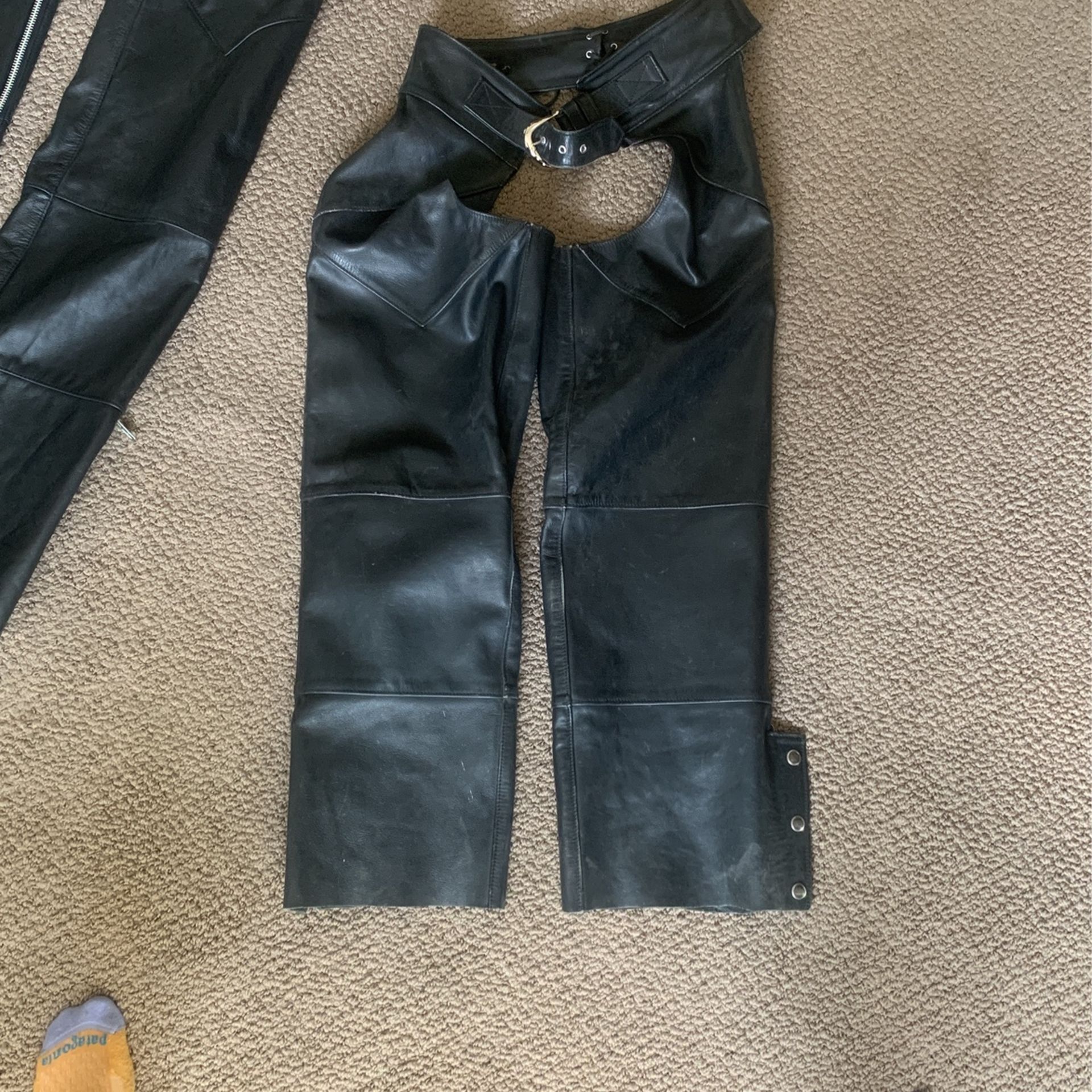 Large Harley Davidson Chaps