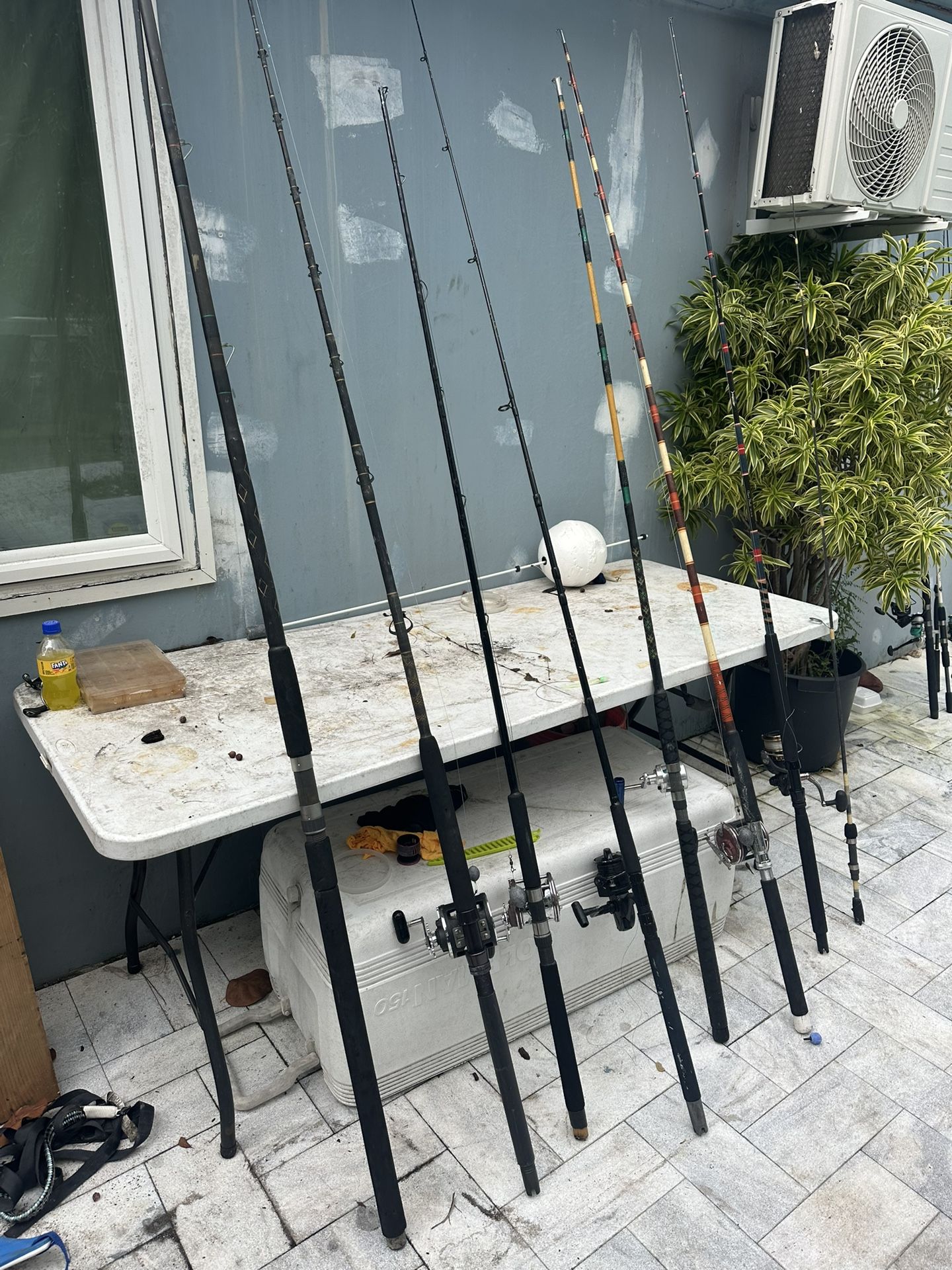 Fishing Rods For Sale 