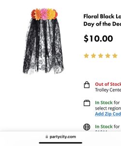 Día De Los Muertos Plus Size Costume/veil