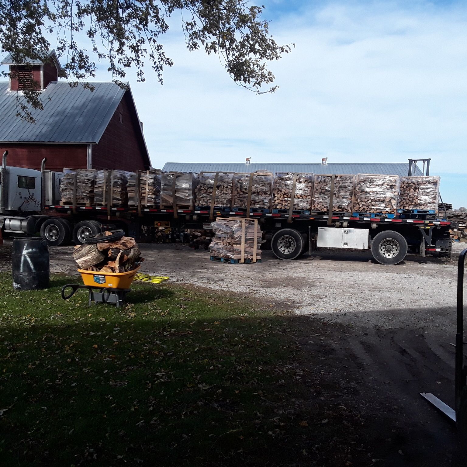 Firewood