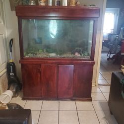 400 Gallon Mahogany Wood Fish Tank