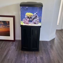 32 Gallon Biocube Fish tank with stand