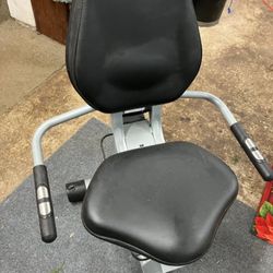 Schwinn Exercise Bike