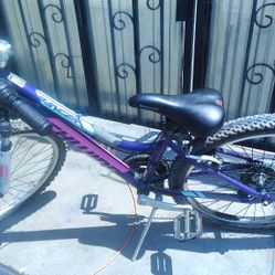 Schwinn Girls Bike