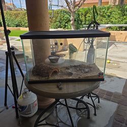 20 gallon Glass tank