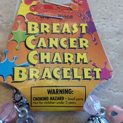Breast Cancer Charm Bracelets+ Pink Bow Pin