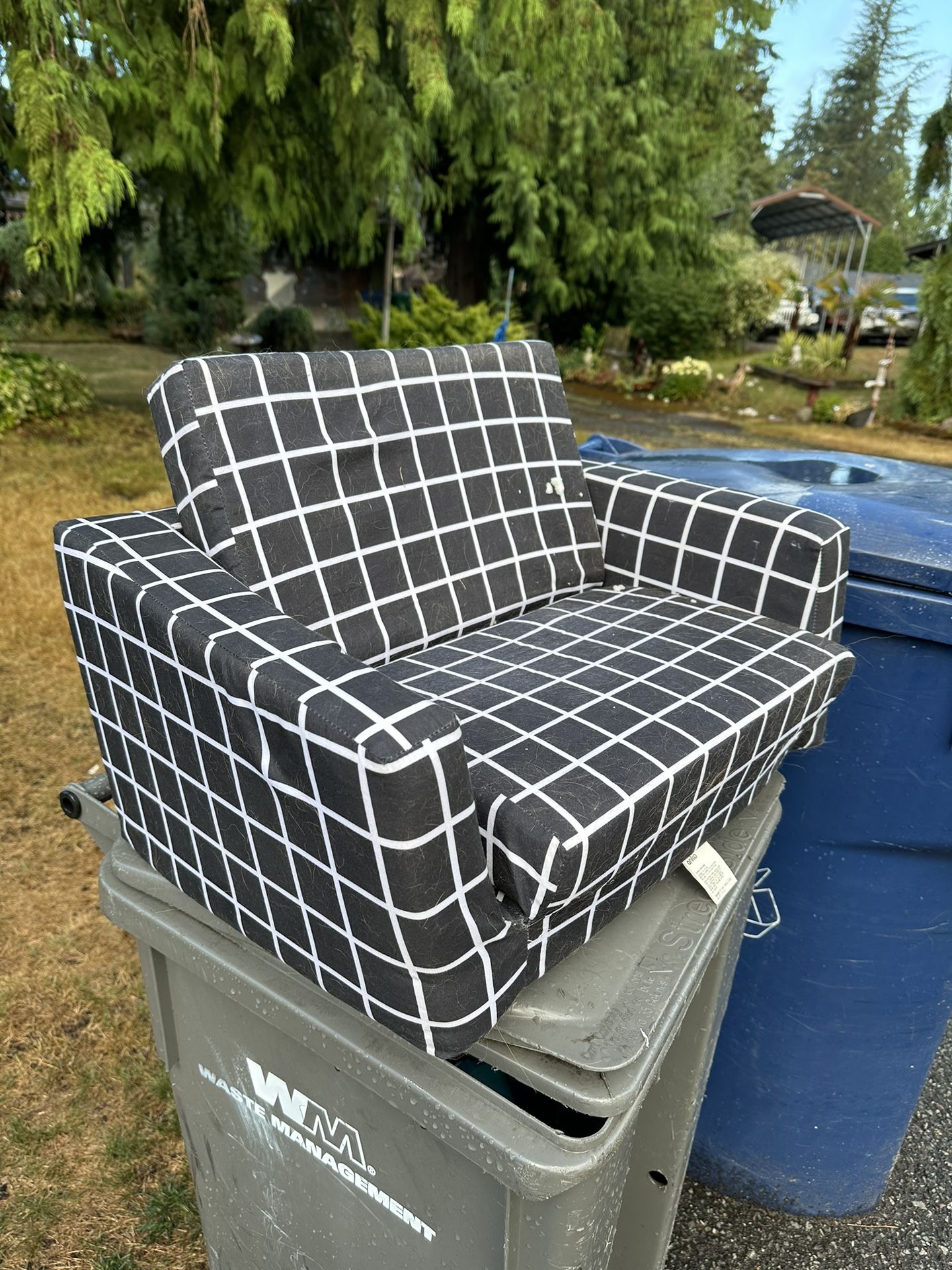 Free Dog Couch