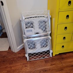 DIGGS Collapsable Dog Crate - Revol