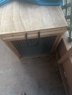 Two dog ages for sale