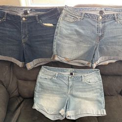 Women's Shorts Size 16