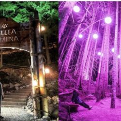 Vallea Lumina Winter Lights Adult Ticket 