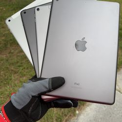 iPads 5 / 6 / 8 / Pro