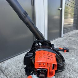 Echo 5810