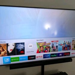 55" TELEVISION 