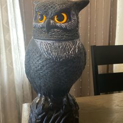Halloween Howling Owl
