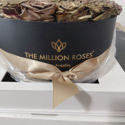 The Million Roses 