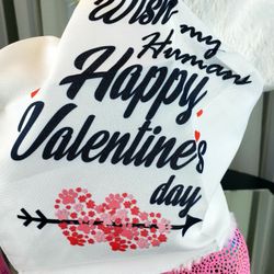 Wish My Humans Happy Valentine's Day Dog Bandana