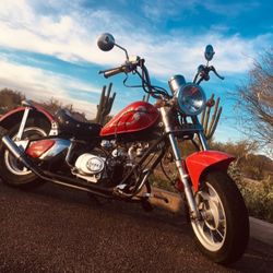 Custom Tank Mini Bike