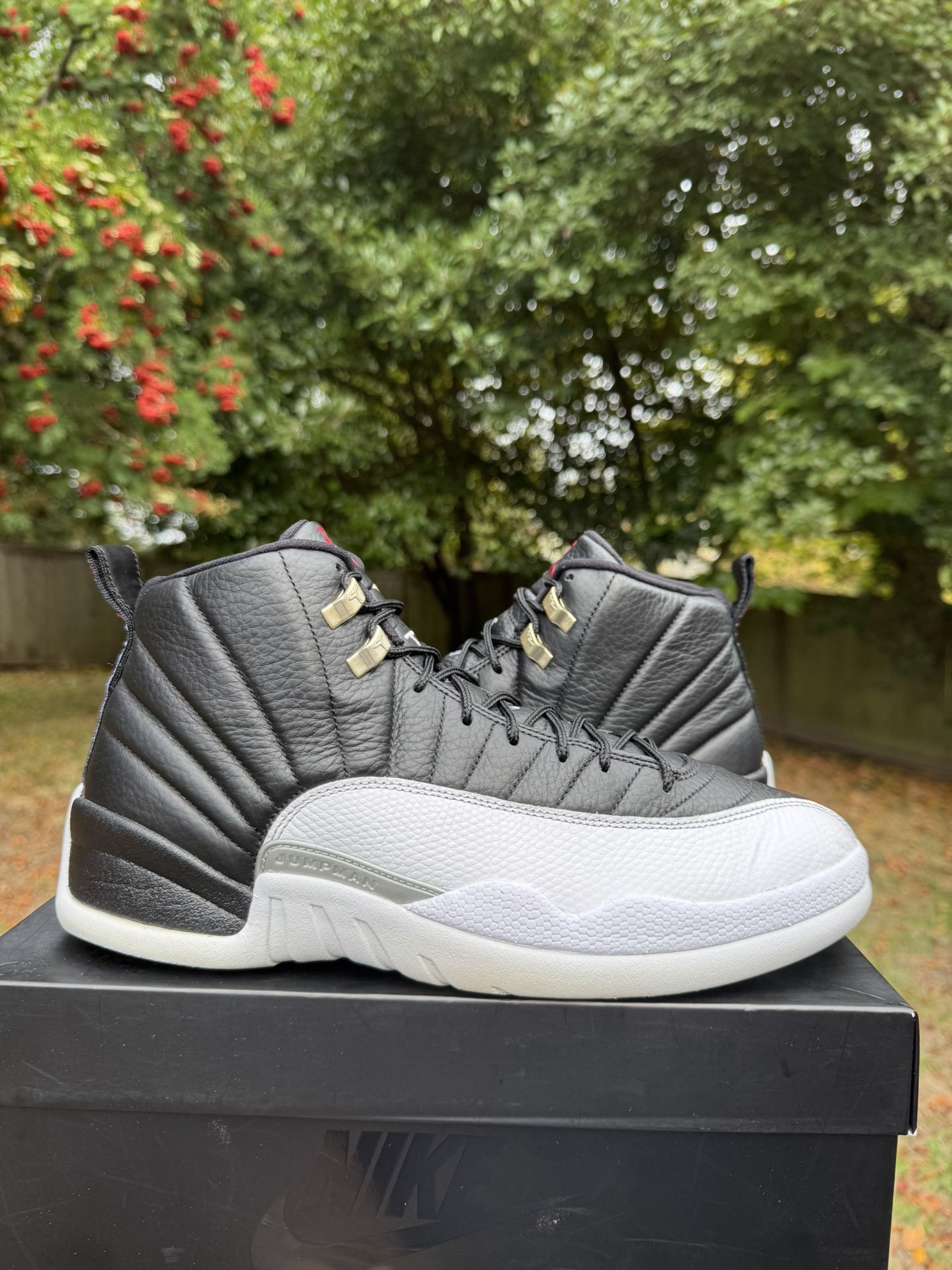 Air Jordan Retro 12 Playoff Size 12