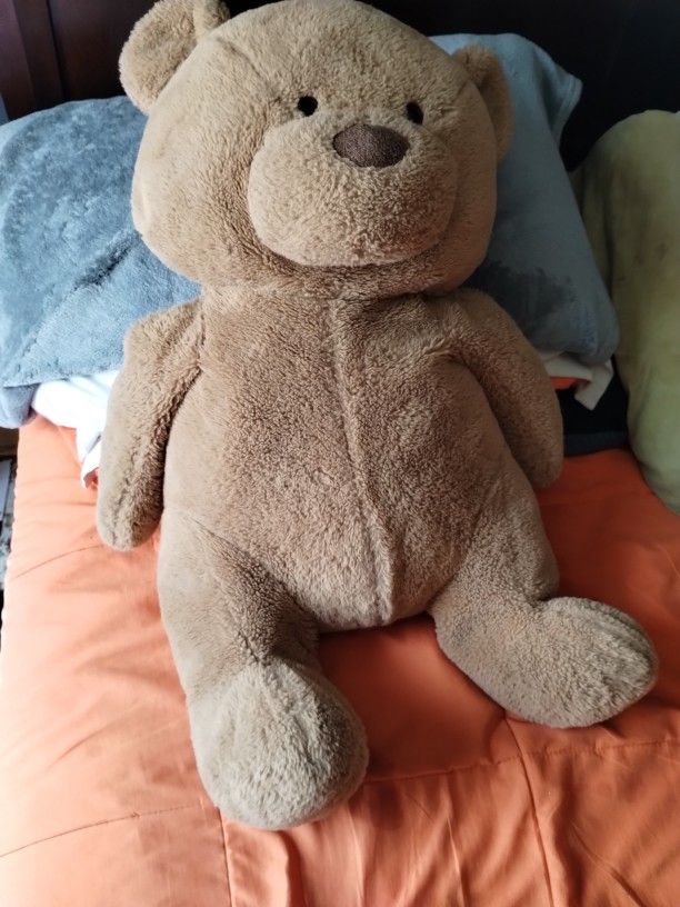 Teddy Bear