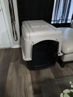 Dog kennel