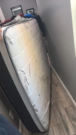 Free bamboo queen mattress