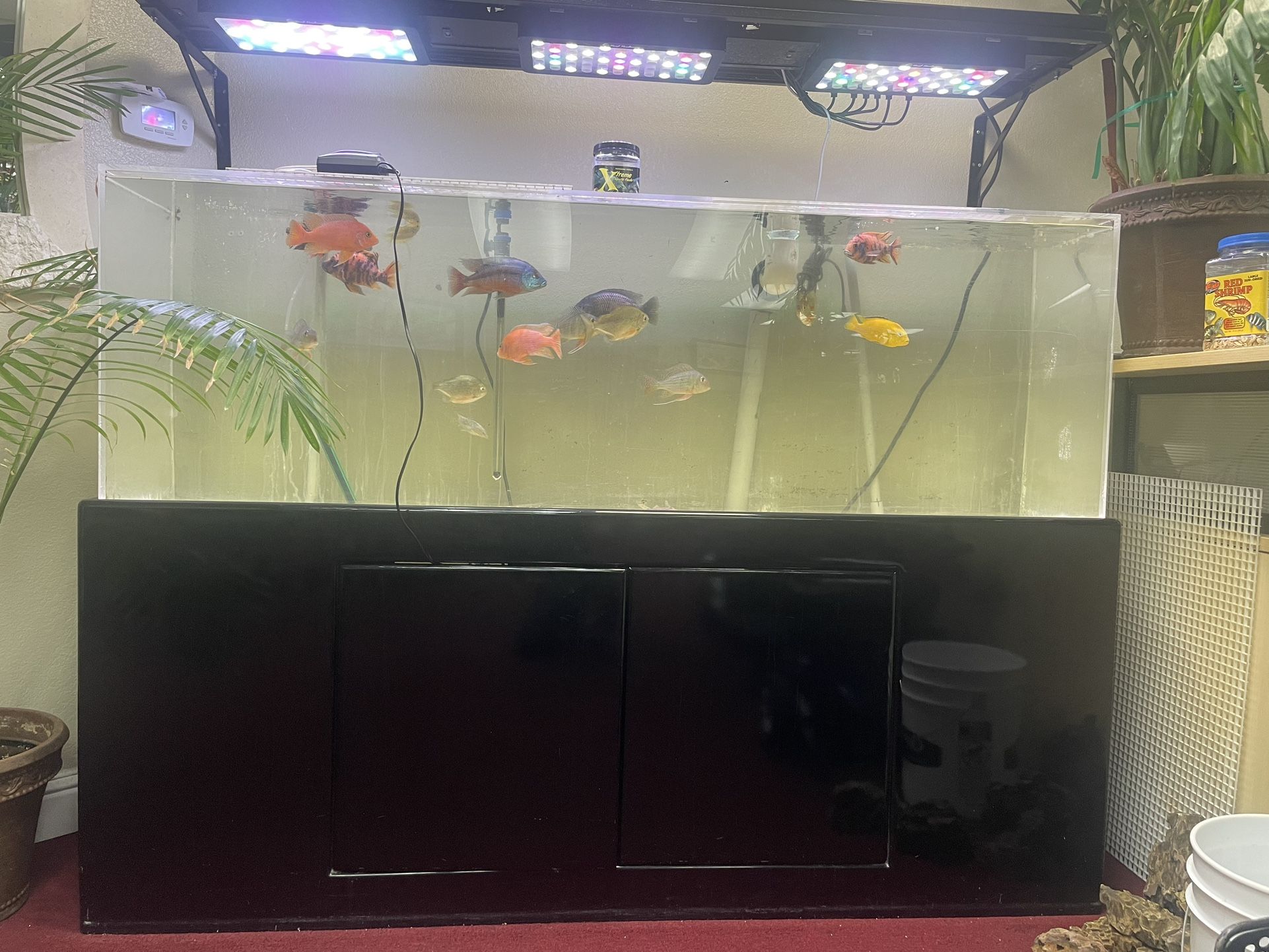 120 Gallon Flexi Fish Tank And Stand 0nly